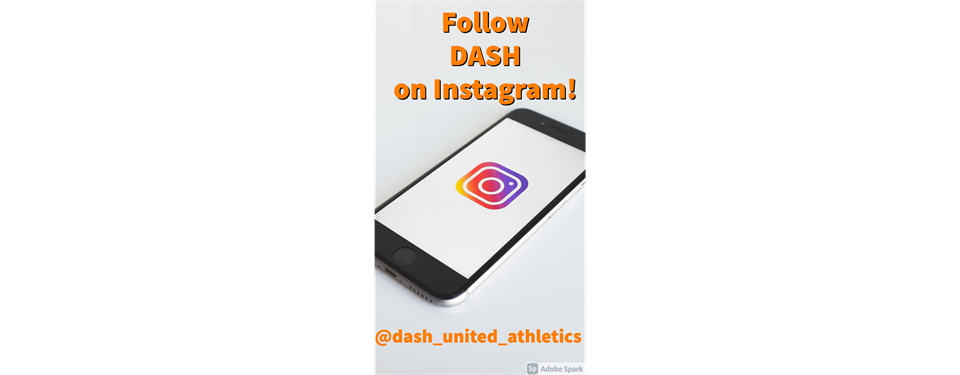 Follow DASH on Instagram!